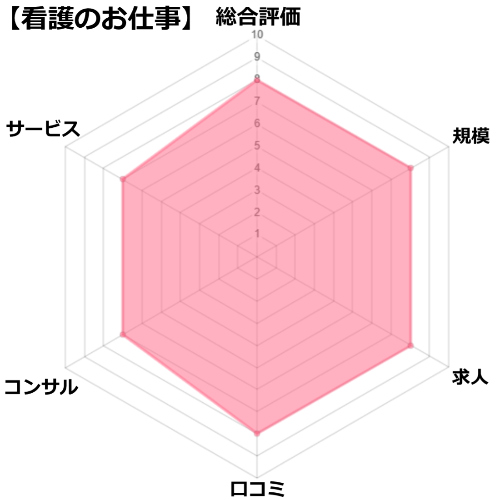 看護のお仕事の評価(分析)